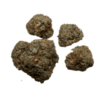 Alien Dawg (4g) - Image 2