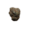 alien-dawg-4g